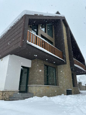 Mount Villa Bakuriani